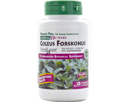 Форсколин, Coleus Forskohlii, Nature's Plus, Herbal Actives, 125 мг, 60 капсул