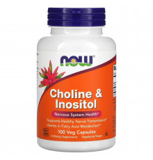 Холин и инозитол, Choline & Inositol, Now Foods, 500 мг, 100 вегетарианских капсул