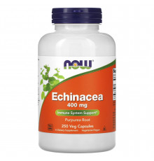 Эхинацея, Echinacea, Now Foods, 400 мг, 250 вегетарианских капсул