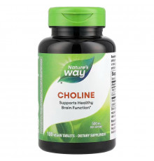 Холин, Choline, Nature's Way, 500 мг, 100 веганских таблеток