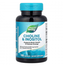 Холин и Инозитол, Choline\Inositol, Nature's Way, 100 капсул