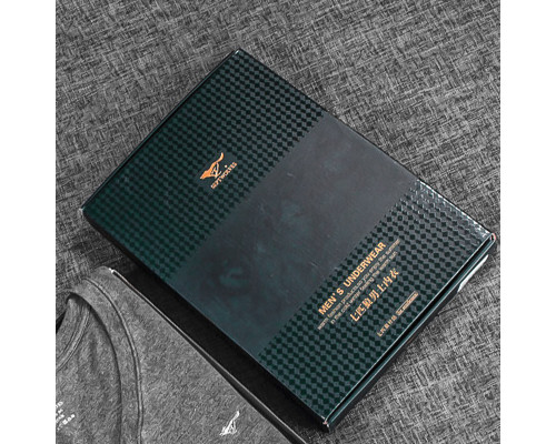 Термобілизна чоловіча Septwolves 98165 Gray M