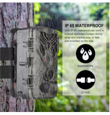 Фотопастка Suntek НС-810A 20м, огляд 120 °, з датчиком руху, нічна зйомка, захист IP65. Камера для охорони