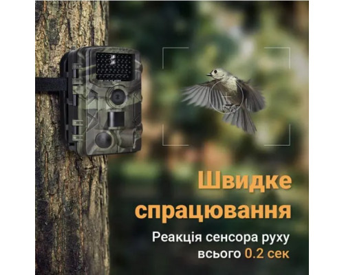 Фотопастка Suntek НС-808A 20м, огляд 120 °, з датчиком руху, нічна зйомка, захист IP65. Камера для охорони