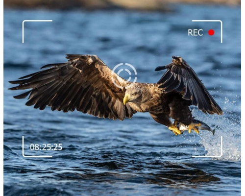 Фотопастка Suntek HC 950A 50MP 4K 2 Лінзі