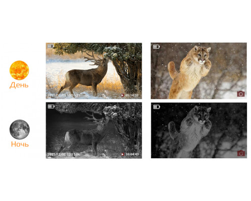 Фотопастка Mini 301